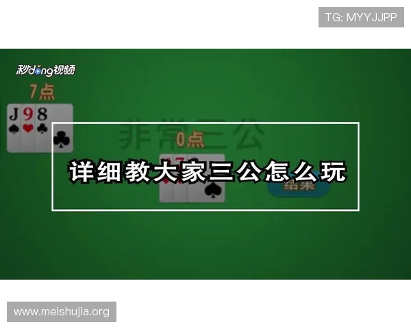 三公详细玩法攻略全面介绍不同版本三公的玩法差异与操作要点