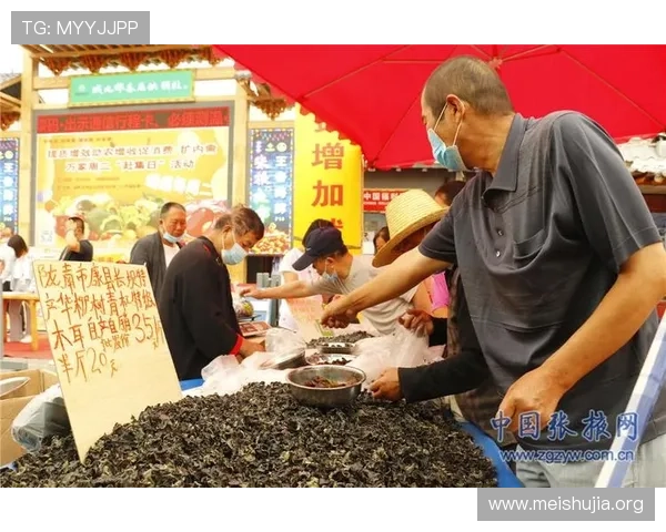 吉祥新闻直播间为观众提供权威新闻解读与多角度分析满足多元需求